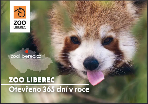 grafick� inzer�t